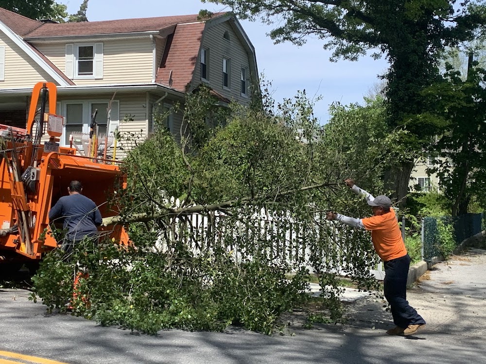 Able Landscaping and Tree Care