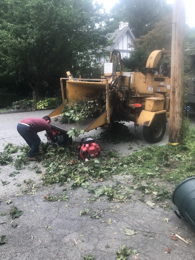 Felix Tree Service