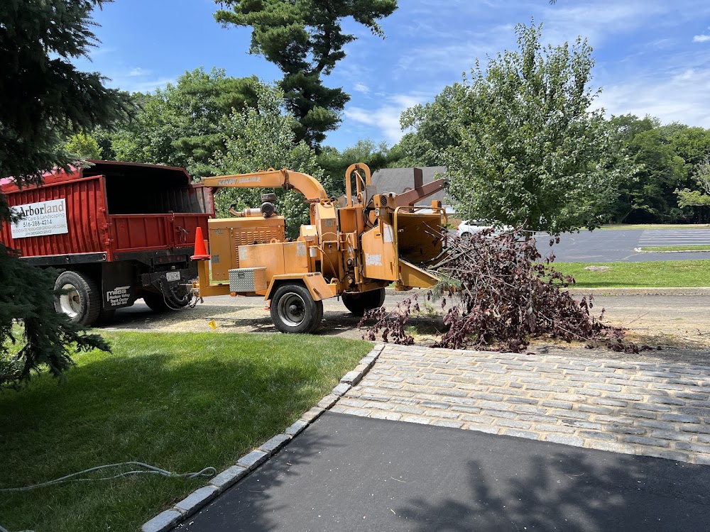 Arborland Tree Care & Landscaping Corp.