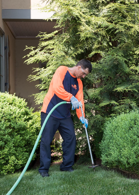 SavATree - Tree Service & Lawn Care