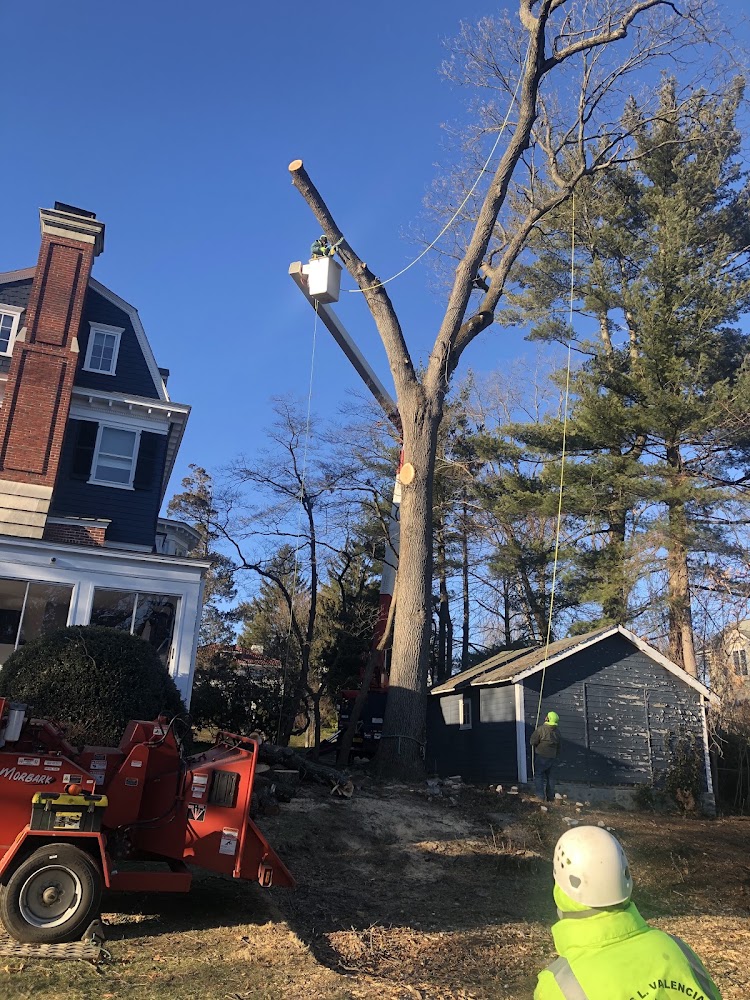 Jesus L Valencia Landscaping LLC
