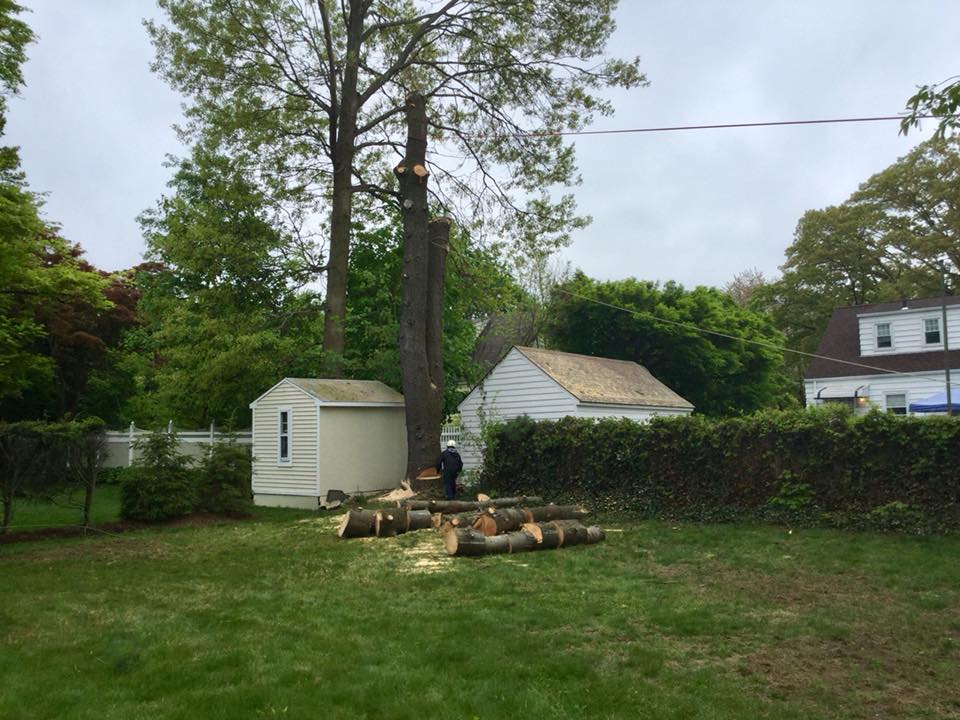 Umanzor Landscaping Inc.
