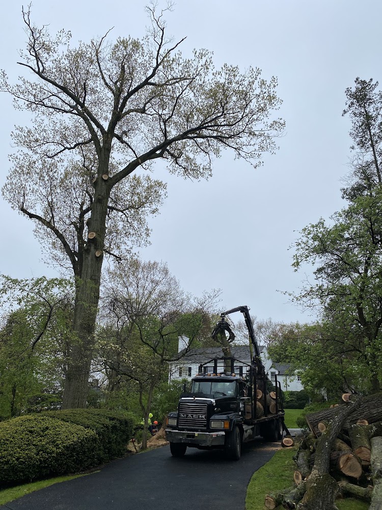Neal's Tree Inc