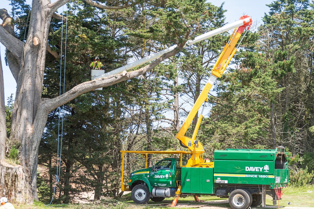 The Davey Tree Expert Company