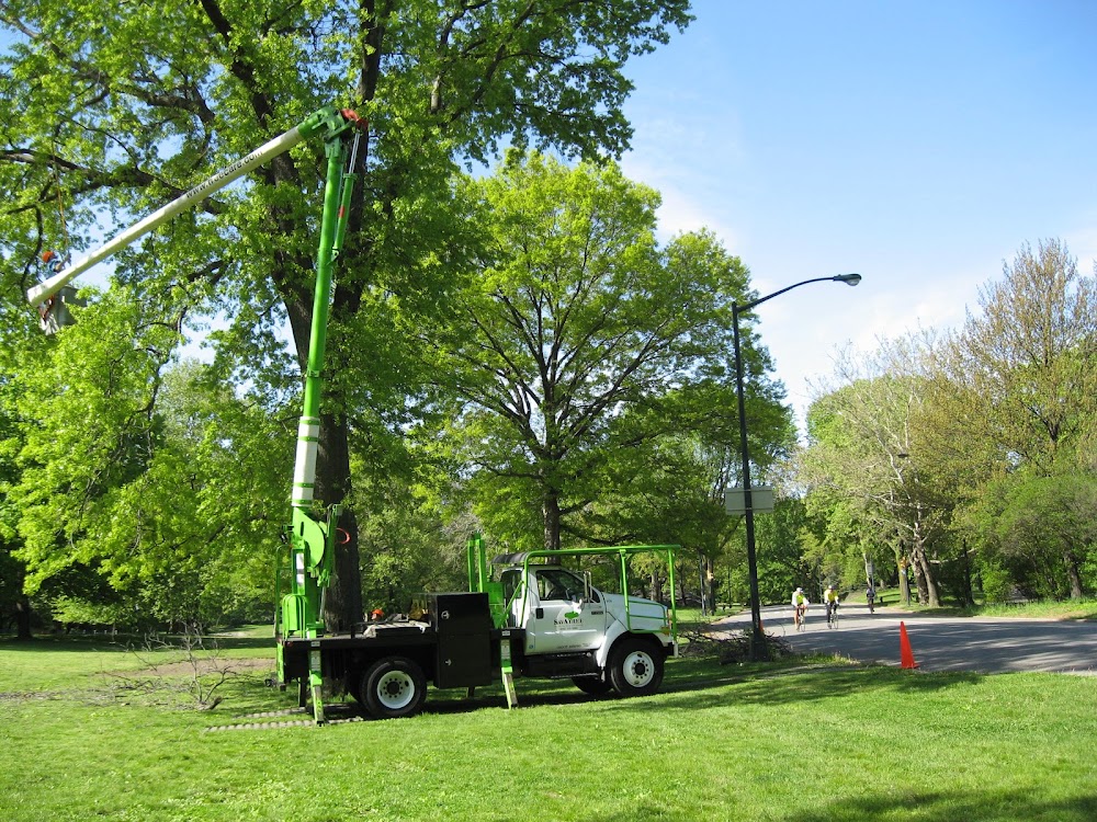 SavATree - Tree Service & Lawn Care