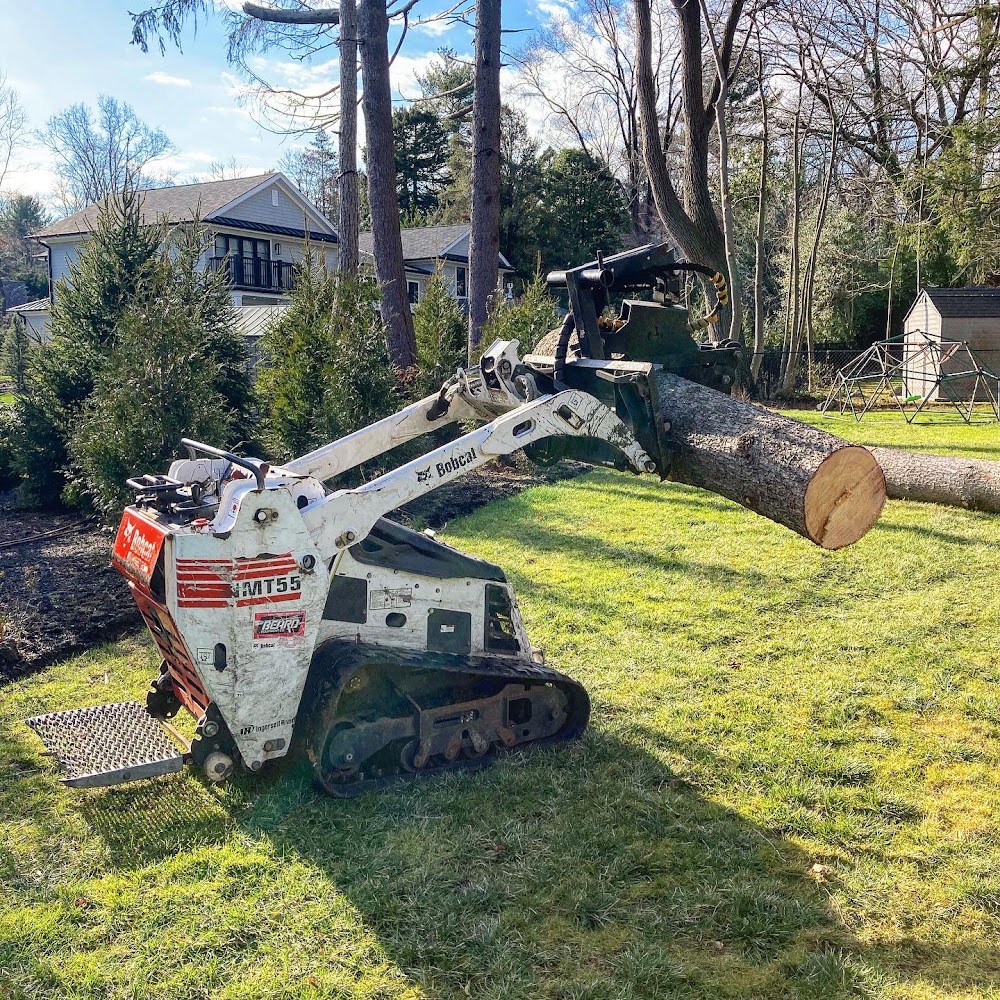Woody Tree Service, Inc.