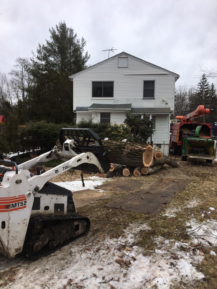 Twin Forest Tree Service LLC