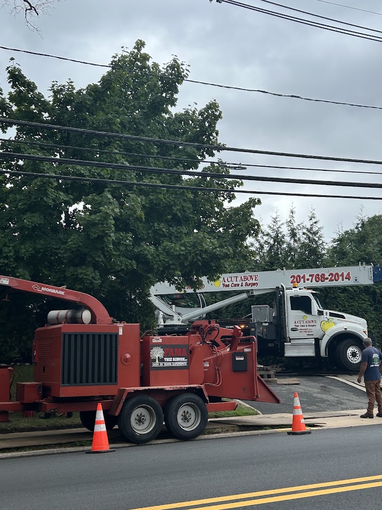 Fama Tree Service