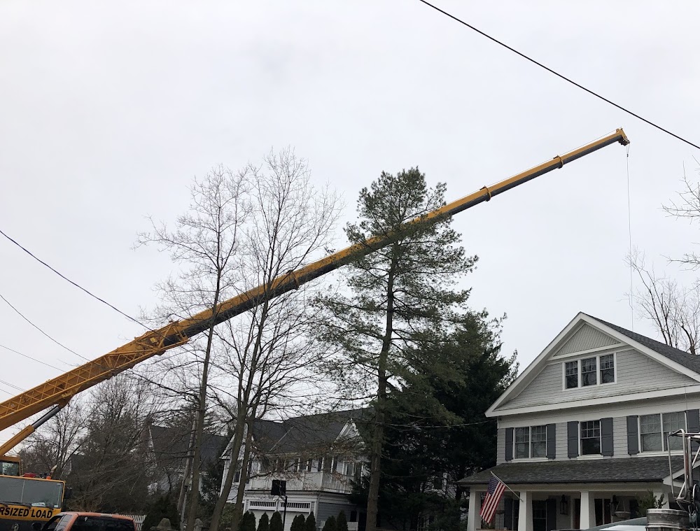 Gedney Tree Care