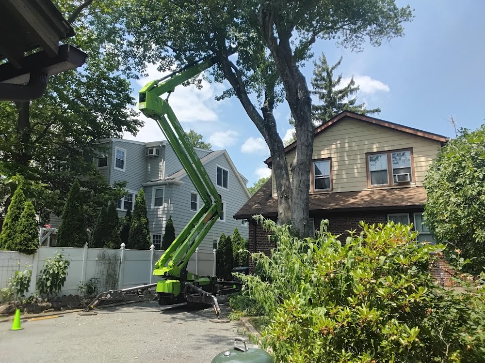 SavATree