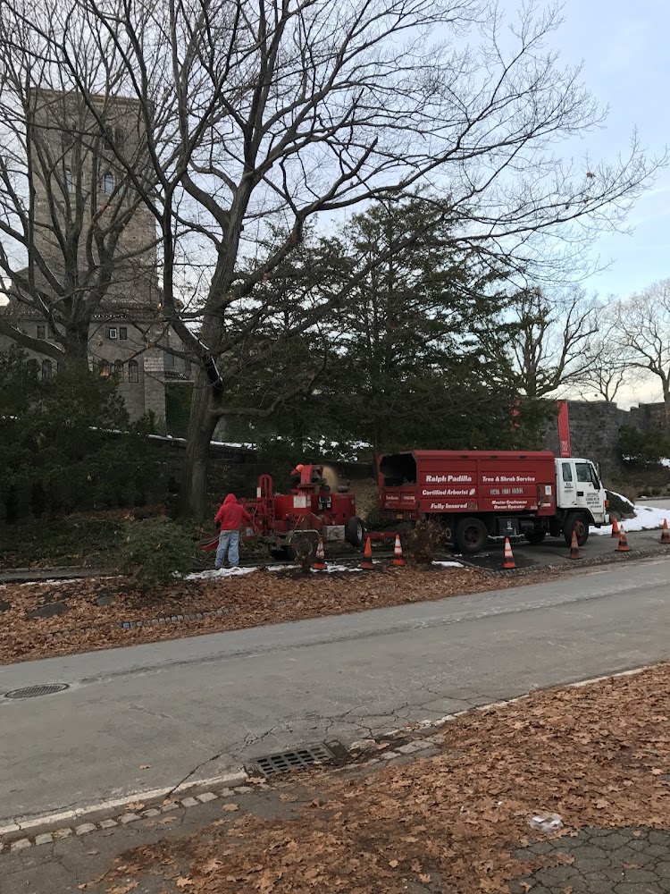PADILLA TREE, INC