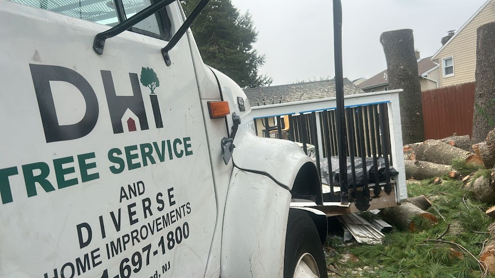 DHI Tree Services in Bergen County, NJ