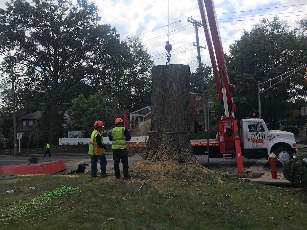 Rmm Tree Service Corp.