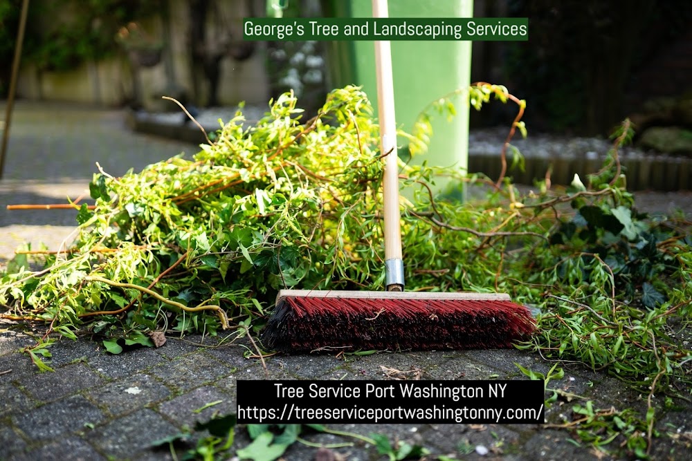 George's Tree and Landscaping Services