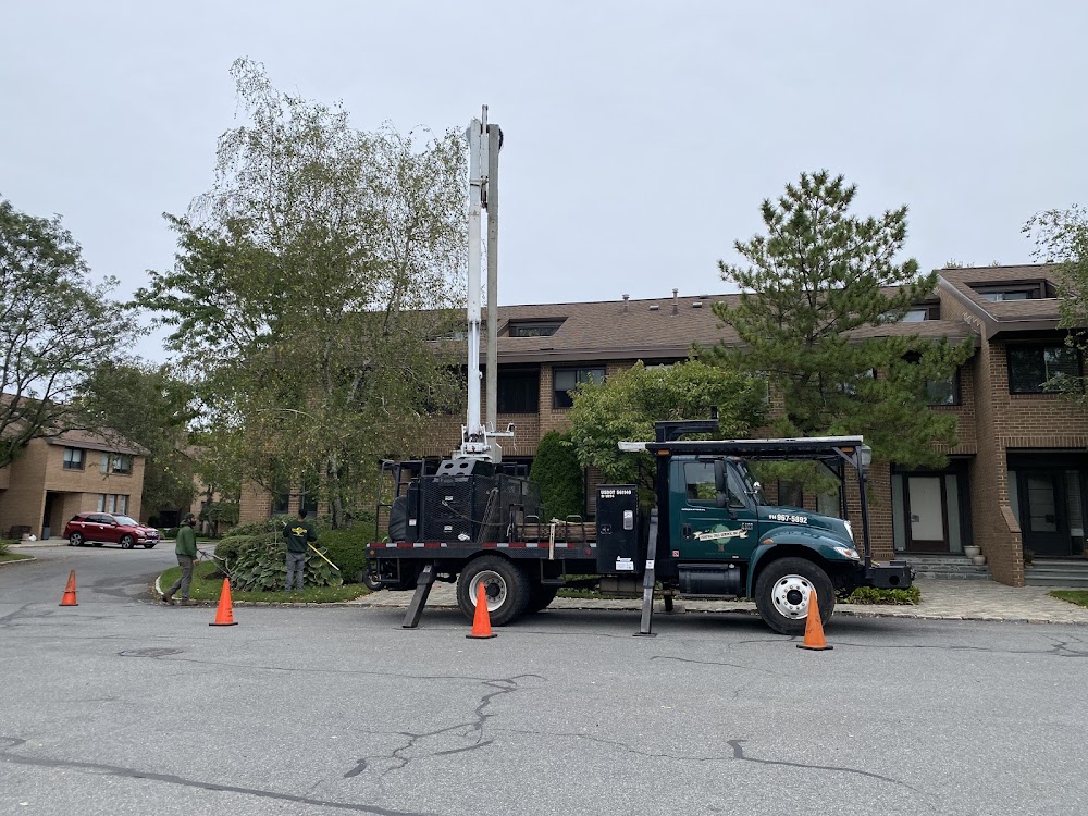 Central Tree Service Incorporated
