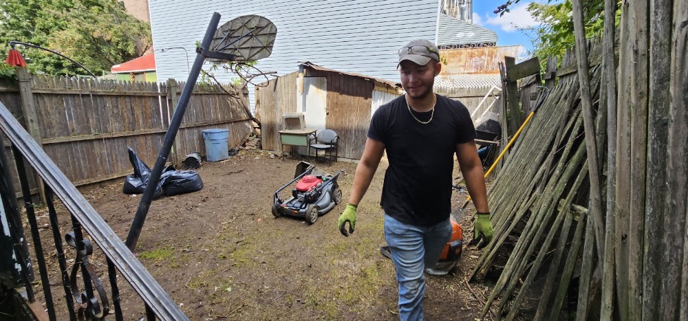 MM Bronx Tree Service - bronx Tree Cutting, bronx Tree Trimming, bronx Tree Removal, stump grinding,