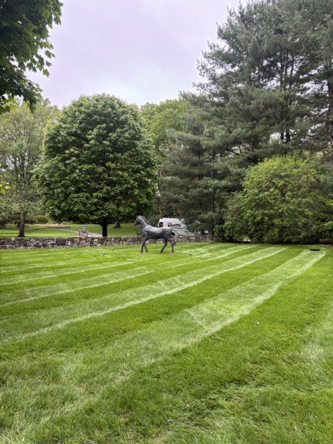 Pisano Landscaping LLC