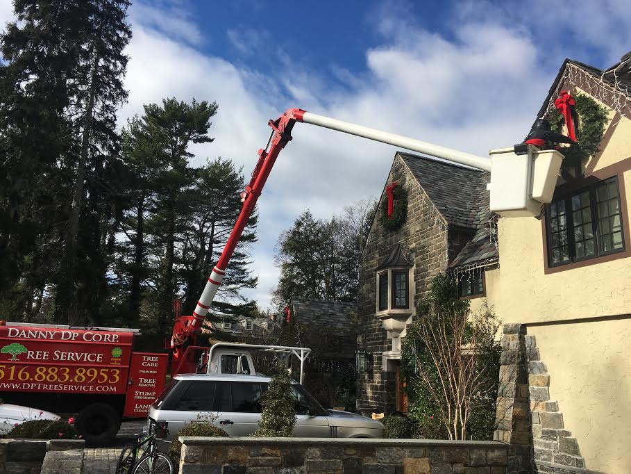 Danny DP Corp Tree Service