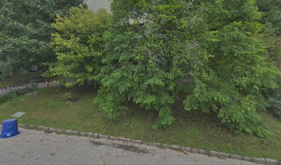 Condon Tree Services