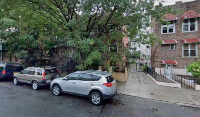 NYC Tree Removal