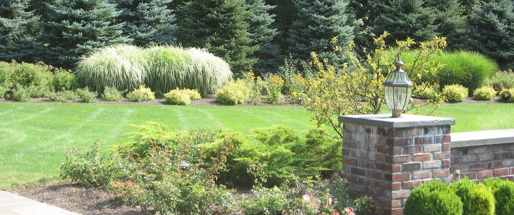 Peter Navarra Landscaping & Maintenance