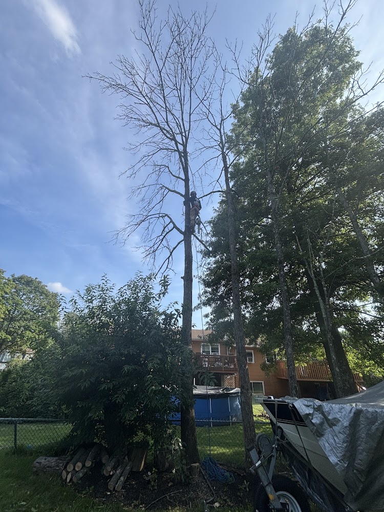 Jireh Tree Service