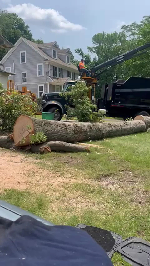 Red Oak Tree Care INC
