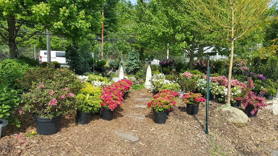 Santelli & Son's Landscape & Tree Care