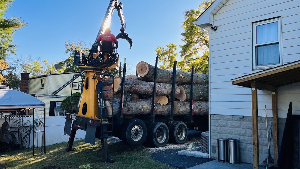 Tree Service White Plains
