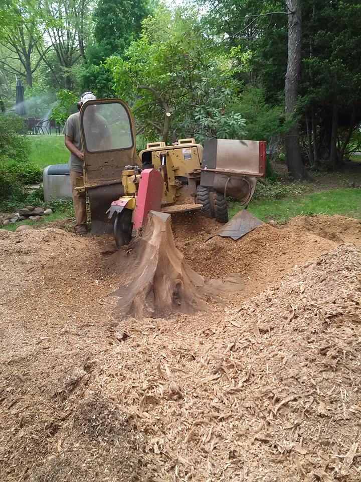 Blessing Tree Service NJ