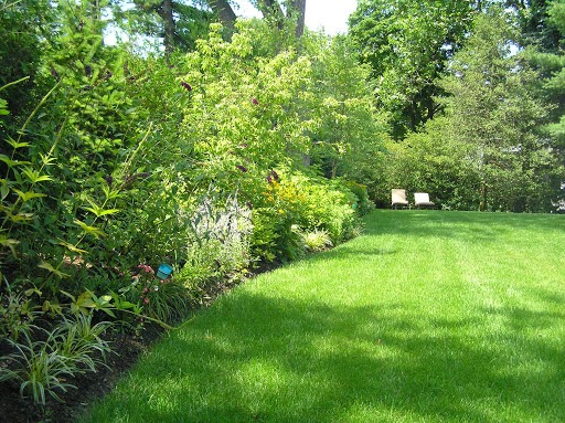 Pine Grove Tree & Shrub Care