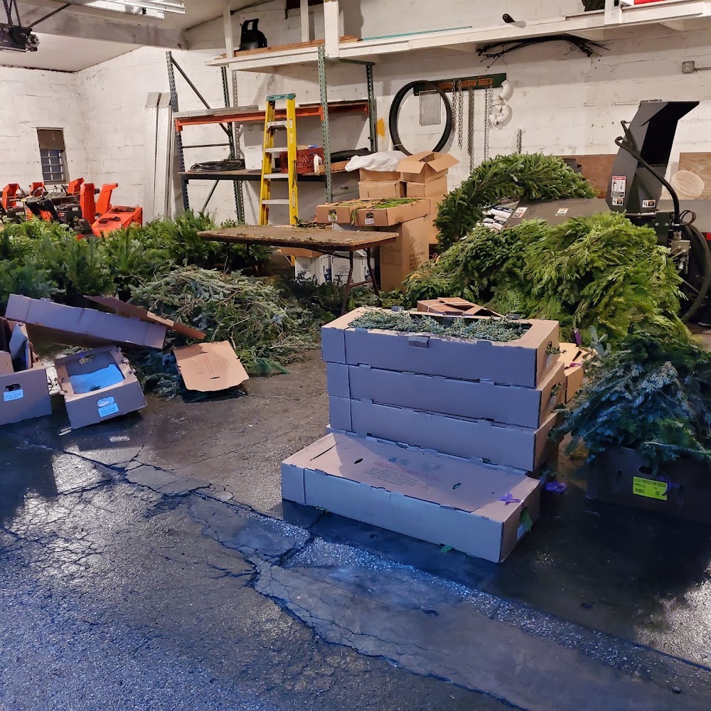 Mario Pansarella and Sons Landscaping