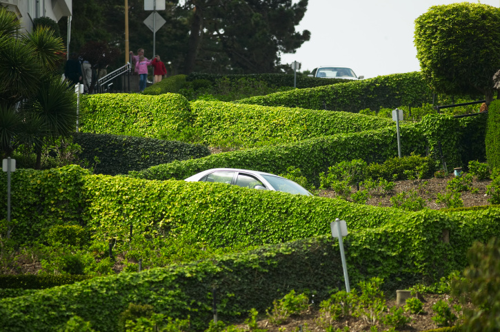 Academy Arbor Care