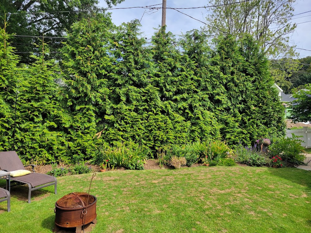 Round Hill Tree Service Inc