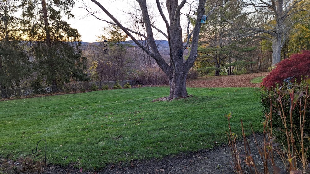 A & S Landscaping Services