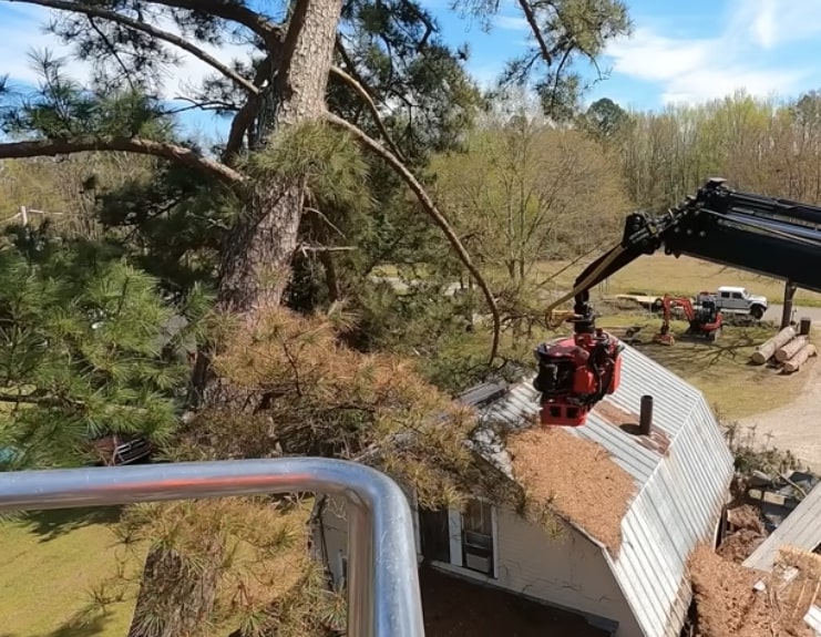 Year Round Yonkers Tree Removal Service
