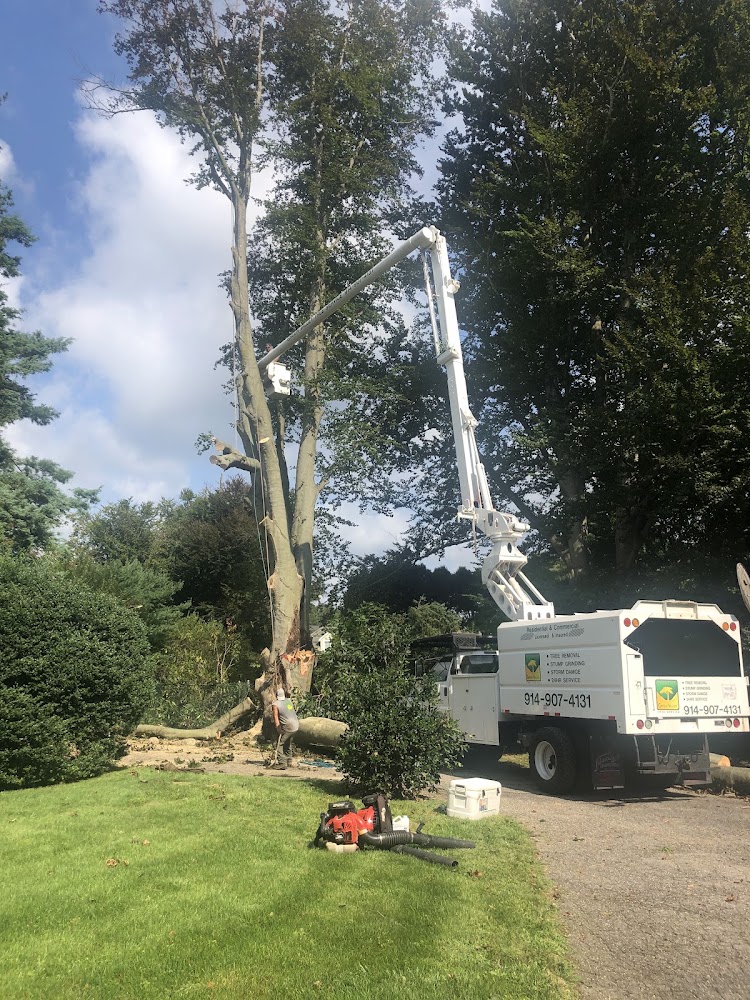 Green Valley Tree Service